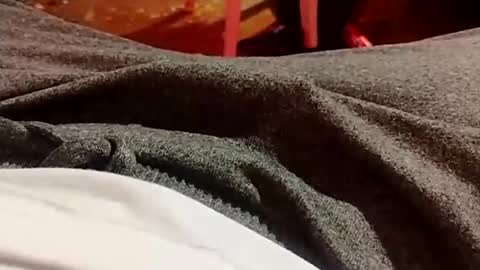 Snapshot of lvacd11 chatting on 12.21.24 Lvac11 online show from 12.21.24