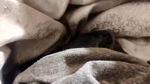 Snapshot of lvacd11 chatting on 01.22.25 Lvac11 online show from 01.22.25