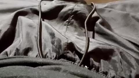 Snapshot of lvacd11 chatting on 09.26.25 Lvac11 online show from 09.26.25