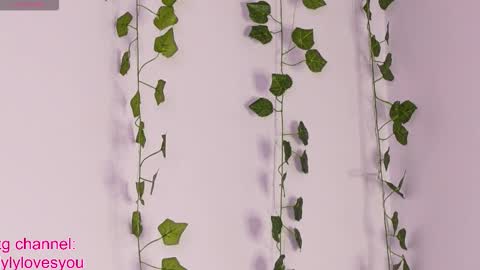 Lyly   online show from 10.06.25