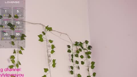 Lyly   online show from 10.10.25