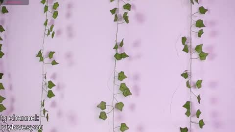 Lyly   online show from 11.18.25