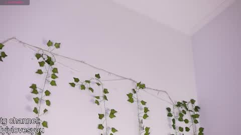 Lyly   online show from 11.24.25