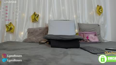 Snapshot of lynxrosen chatting on 12.19.24 Lynx Rosen online show from 12.19.24