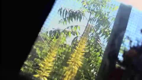 SLoppYxXPeeHoLeXxGspotxX online show from 02.22.26