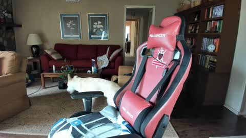 machinecumkelly69 online show from 09.21.25