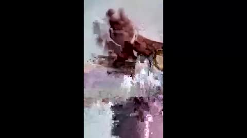 maciasbraulio846 online show from 02.07.26