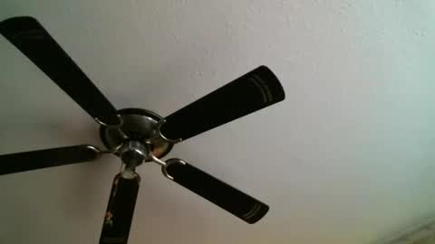 Snapshot of mad_dem0n chatting on 01.05.25 Manuel online show from 01.05.25