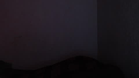 Made online show from 12.17.24