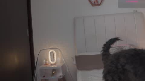 Snapshot of madison__evans chatting on 02.14.26 Valentina 1030 530 - online show from 02.14.26