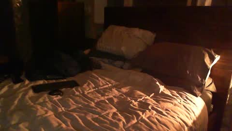 Guigui online show from 02.26.25