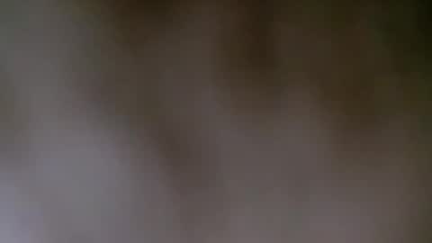 Snapshot of maestronex chatting on 12.25.24 maestronex online show from 12.25.24