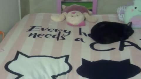 maferchavez88 online show from 02.22.26