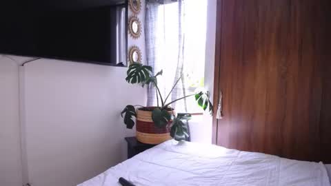 maggie online show from 11.19.25