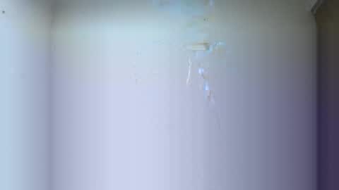 BRAYAN online show from 03.16.26