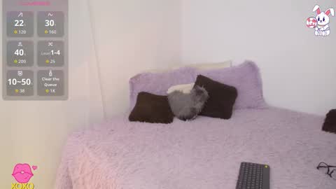    t  online show from 03.27.26