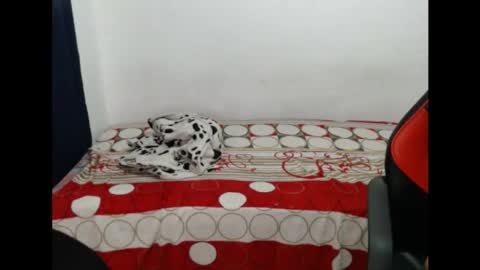 maicol online show from 10.21.25