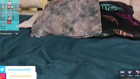 Maison Davis online show from 12.12.24