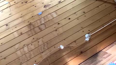 makeyousquirt1969 online show from 10.27.25