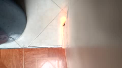 Snapshot of mamm7772024 chatting on 04.04.26 Mickey online show from 04.04.26