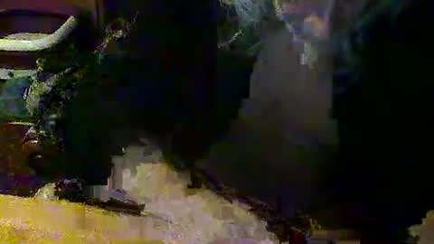 Snapshot of mangochurro chatting on 04.30.26 mangochurro online show from 04.30.26