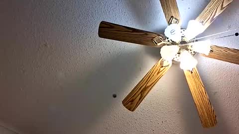 Snapshot of maniak_paraphiliacz chatting on 02.01.26 Jan and Man online show from 02.01.26