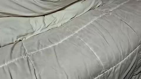 Dickinabox online show from 11.17.25