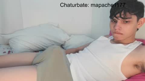 Snapshot of mapache1177 chatting on 05.10.26 mapache1177 online show from 05.10.26