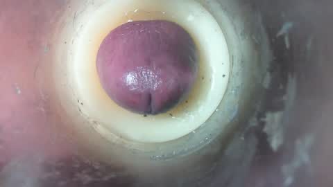 Marc online show from 02.08.26