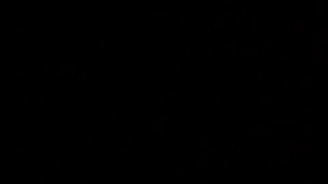 Elle online show from 10.19.25