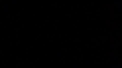 Elle online show from 11.29.25