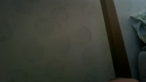 margotshorse online show from 03.19.26