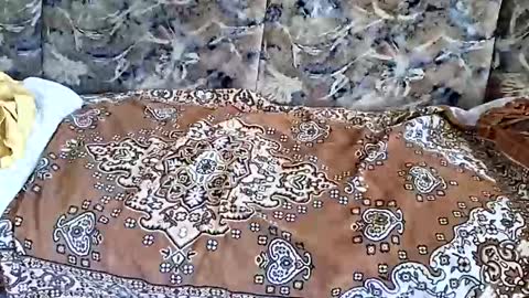 marian20242025 online show from 11.01.25