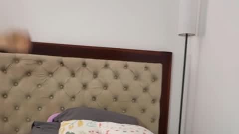 Antonia online show from 10.04.25