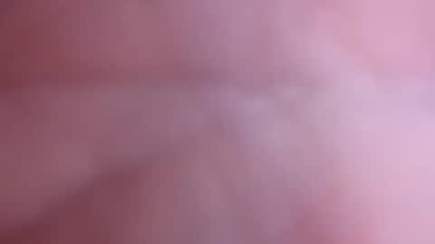 Snapshot of mark2711568331 chatting on 11.04.25 mark2711568331 online show from 11.04.25