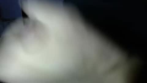 mark_270 online show from 04.03.26