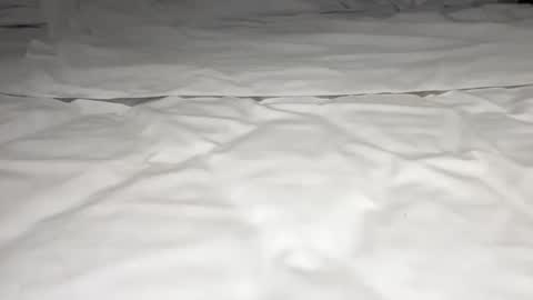 mark_nips02 online show from 02.23.26