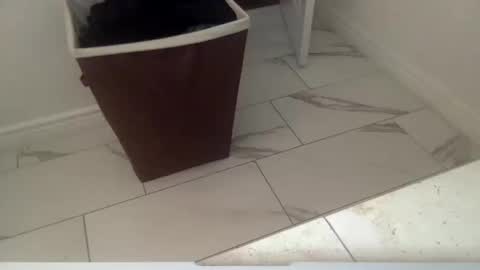 Snapshot of markk702 chatting on 10.11.25 markk702 online show from 10.11.25