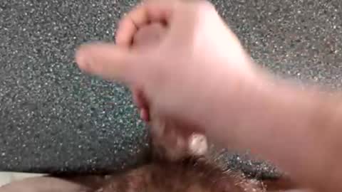 marrieddadeh online show from 03.23.26