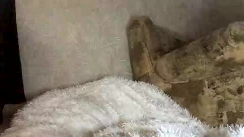 Marta online show from 11.27.25