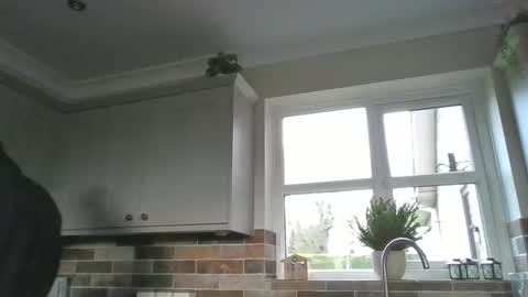 martinrgbxxxx online show from 12.15.24