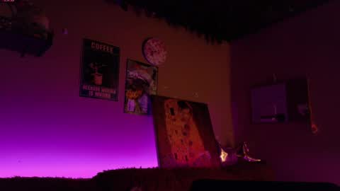     online show from 03.01.26