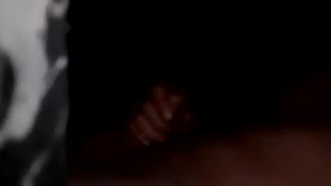 Snapshot of marylandguy20 chatting on 12.20.24 Maryland Man online show from 12.20.24