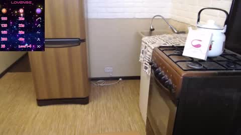 Snapshot of masha91 chatting on 02.27.25 MARIYA online show from 02.27.25