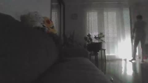 Nikola online show from 05.24.26