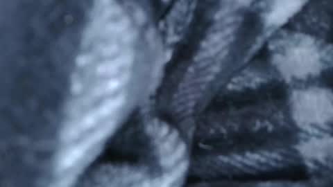 alex online show from 03.28.26