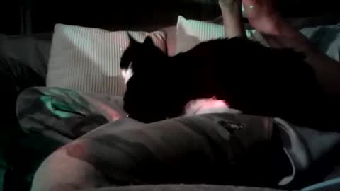 Snapshot of mastrdebator chatting on 11.05.25 mastrdebator online show from 11.05.25