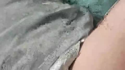 Snapshot of mathisdavid6757 chatting on 11.22.25 mathisdavid6757 online show from 11.22.25