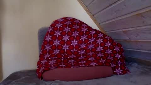 Snapshot of matko1492 chatting on 03.02.26 matko1492 online show from 03.02.26