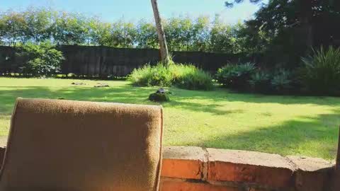 Snapshot of matt_sweet1 chatting on 01.14.26 Matt Sweet online show from 01.14.26